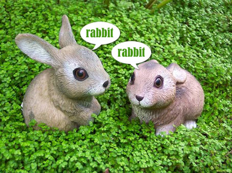 rabbit_rabbit